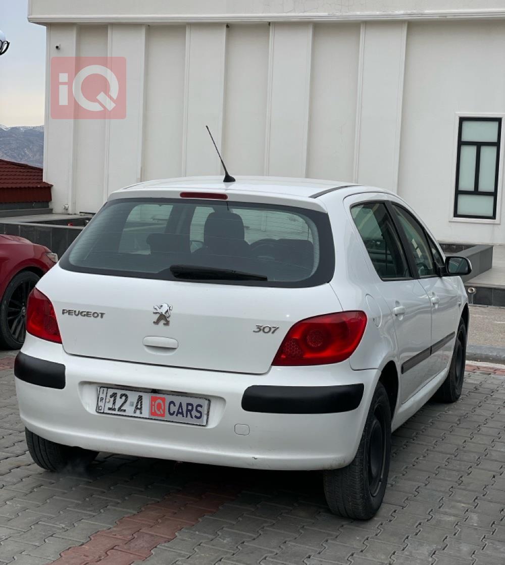 بيجو 307